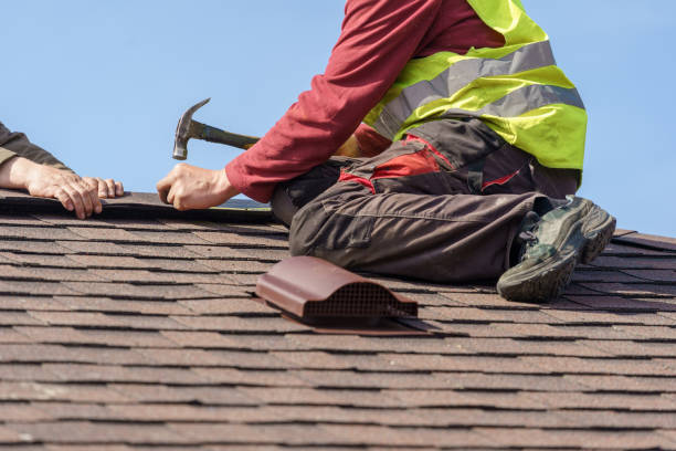 Best Roofing Contractor Near Me  in Burkesville, KY