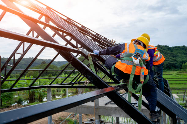 Best Roof Maintenance Services  in Burkesville, KY