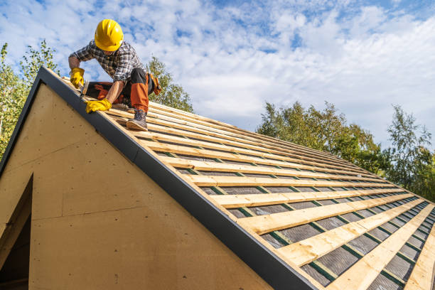 Best Roof Repair Services  in Burkesville, KY